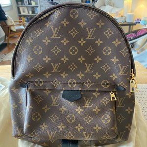 Louis Vuitton Palm Springs MM Monogram Backpack